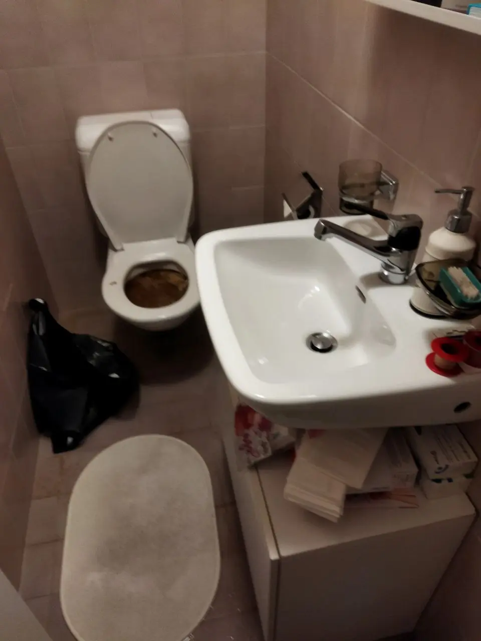 Запушена тоалетна